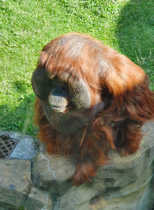 Sladkiy1207 My Photos photo 13276557