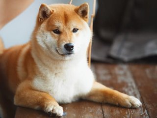I'm 22 Years Of Age, My BongaCams Model Name Is Modeluser100