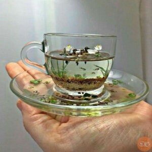 Unica-Tettona wish list item 1 thumbnail