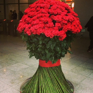 Roses