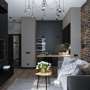 renovation and new furniture