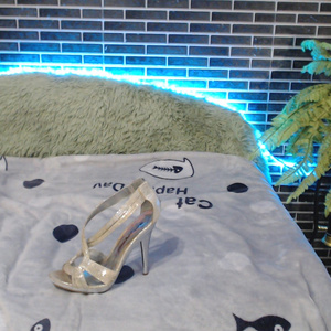 glass slipper