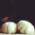 Oh-quit