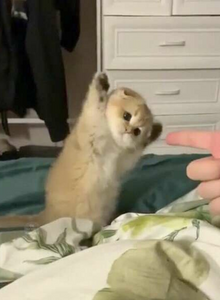 ebantiaj My Photos photo 12488803