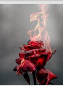 Ruman25512775 My Photos photo 10786943