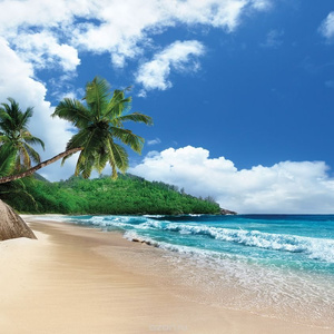 island trip