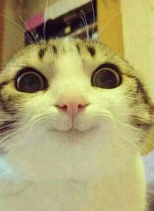 kimbleyn My Photos photo 13082489