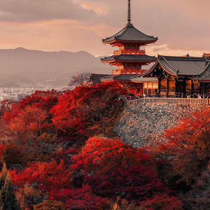 Trip to Japan