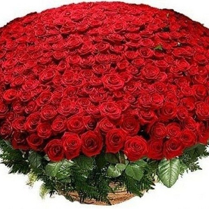 A huge bouquet of roses