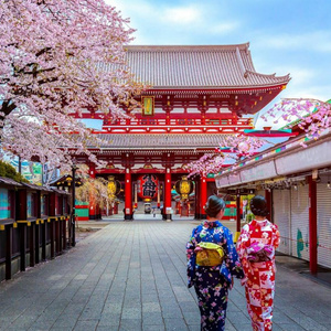 Travel to Japan
