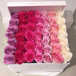 Rosses