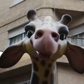 Danielito71