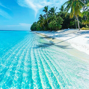 Holidays at sea