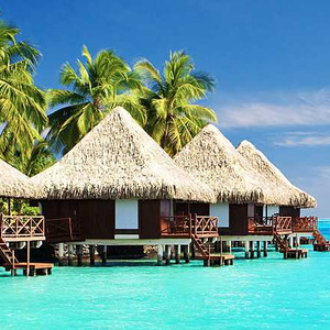 Dream Trip