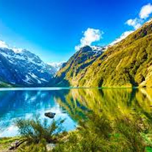 I would love to visit New Zaeland)