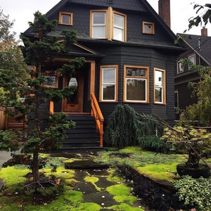 Dream House