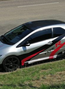 Happy_Lion 1 photo 13911297