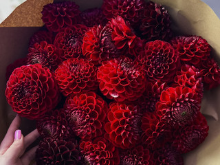 Present 🎁 flowers 🌷 