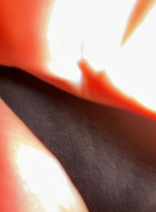 Star160 My Photos photo 11223854