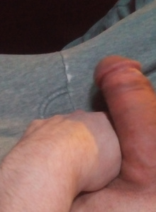 Plchou Cock photo 5636348