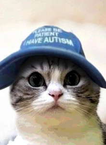 KYKUEPTAA My Photos photo 12644489