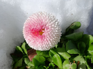 -ˋˏ ༻❁✿❀༺ ˎˊ-