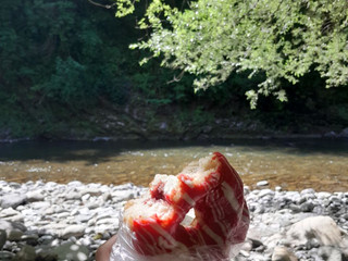 ⸜(｡˃ ᵕ ˂ )⸝🍩