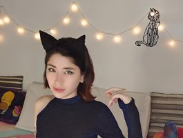 KittySteffy