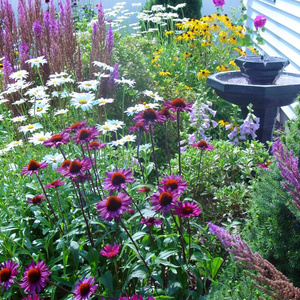 Beautiful gardens