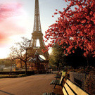 Поездка мечты в Париж!