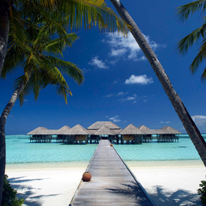 Vacation  in the maldives