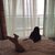 alondra_groot
