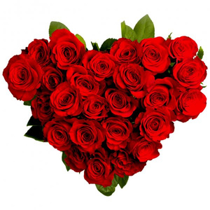 Roses