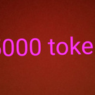5000 tokens