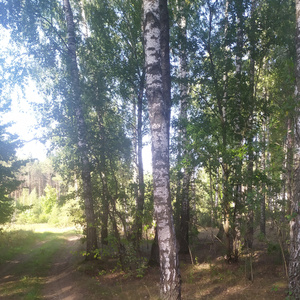 In nature