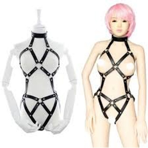 Sexy harness♥