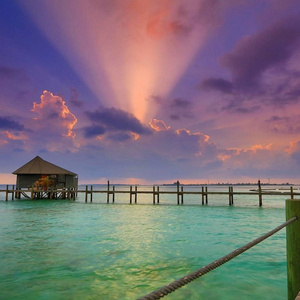 I want to go on VACATION, maybe with you)