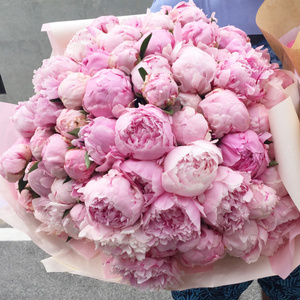 a bouquet of 19 peonies...given by you