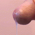 Mnbvcxz81a