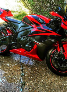 SSemenov My Photos photo 13288606