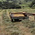 FarmLover98