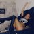 emilyhornett
