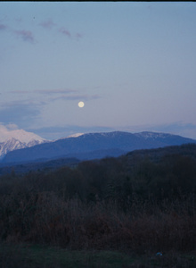 G-MAN Плёнка/Film photos photo 11299142