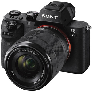 Professional camera