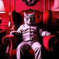 Ama_RichyCat