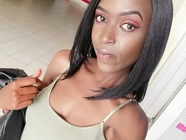 rolliea profile