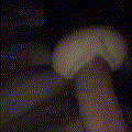 Cumf0ru