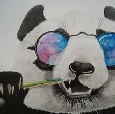 ZEC4PANDa