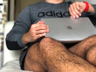 Arnybear