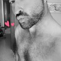 Boquitadelis